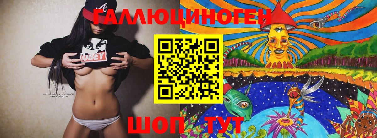 Псилоцибиновые грибы Psilocybe Дербент