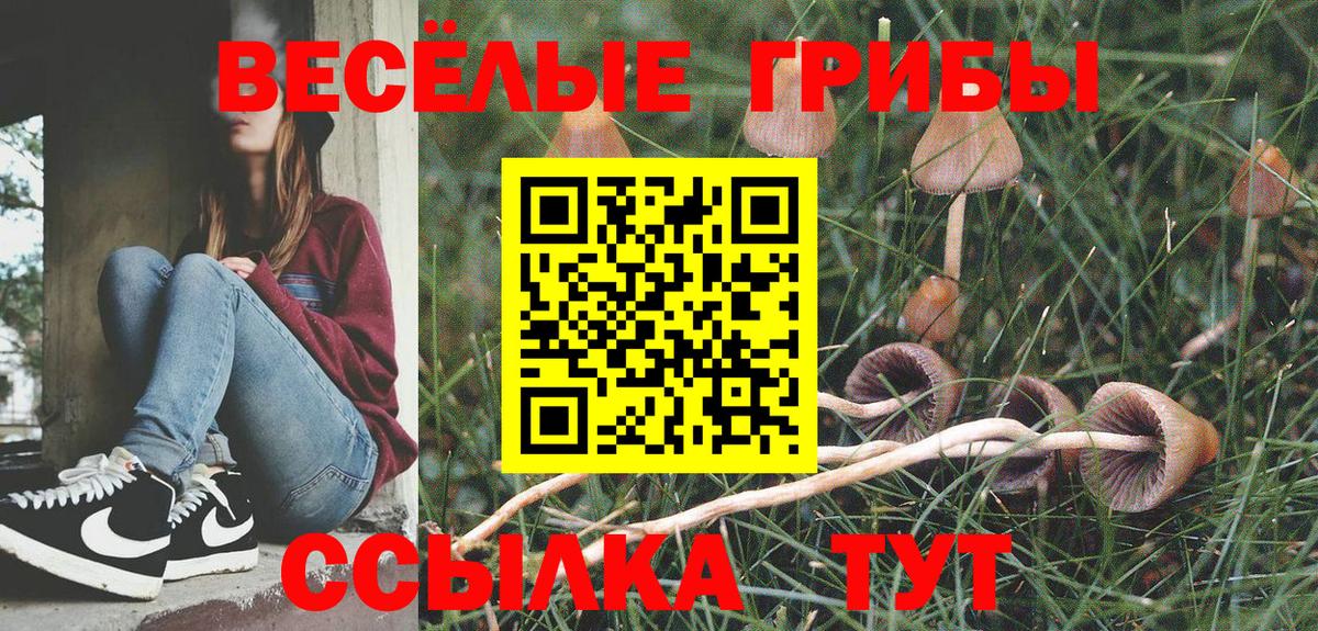 Галлюциногенные грибы MAGIC MUSHROOMS  как найти наркотики  Дербент  Вход с VPN  Псилоцибиновые грибы прущие грибы 